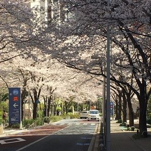 Meet your Posher, Keith